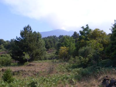 rustic with land For sale in BIANCAVILLA, SICILY, CATANIA, Italy